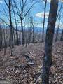 0 Trackrock Gap Road - Photo 5