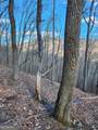 0 Trackrock Gap Road - Photo 6