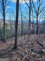 0 Trackrock Gap Road - Photo 8