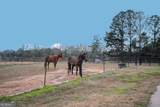 3221 Hollonville Road - Photo 42
