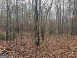3.34 ACRES Buck Circle - Photo 19