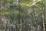 0 Abbeville Highway - Photo 10