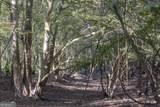 0 Abbeville Highway - Photo 13