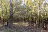 0 Abbeville Highway - Photo 17