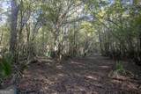 0 Abbeville Highway - Photo 18