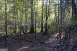 0 Abbeville Highway - Photo 21