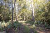 0 Abbeville Highway - Photo 3