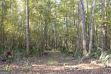 0 Abbeville Highway - Photo 4