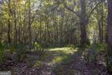 0 Abbeville Highway - Photo 40