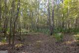 0 Abbeville Highway - Photo 5