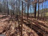 LOT 50 Deyton Drive - Photo 13
