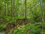 0 Brock Trail - Photo 22