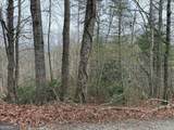 LOT 31 Ideal Acres - Photo 4