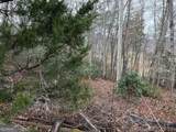 LOT 33 Ideal Acres - Photo 6