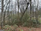 LOT 19 Ideal Acres - Photo 7