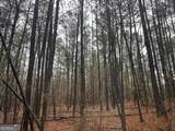 151 +/- AC White Road - Photo 3