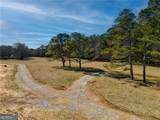 697 Moccasin Gap Road - Photo 5