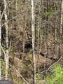0 Trout Line Court - Photo 10