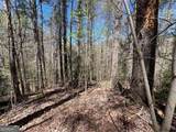 0 Trout Line Court - Photo 4