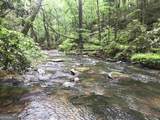 0 Trout Line Court - Photo 43