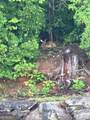 1 Burton Island - Photo 98