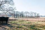 0 Crawfordville Road - Photo 12
