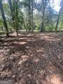 1184 Robert Hardeman Road - Photo 8
