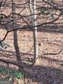 0 Crooked Creek - Photo 12