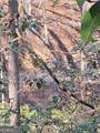 0 Crooked Creek - Photo 14