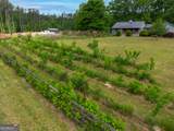 456 Mcintosh Road - Photo 51