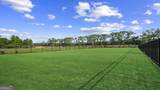 313 Royal Fern Lane - Photo 37