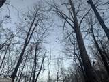 0 Hicks Hollow Road - Photo 14