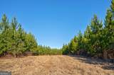 0 Lower Harmony Road - Photo 10