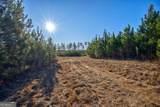 0 Lower Harmony Road - Photo 11
