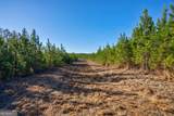0 Lower Harmony Road - Photo 15