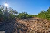 0 Lower Harmony Road - Photo 16
