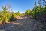 0 Lower Harmony Road - Photo 23
