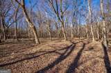 0 Lower Harmony Road - Photo 34