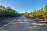 0 Lower Harmony Road - Photo 4