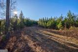 0 Lower Harmony Road - Photo 8