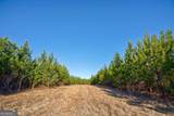 0 Lower Harmony Road - Photo 9