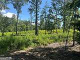 932 Sardis Road - Photo 6