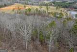 0 Cowart Mountain Tract 1 Road - Photo 10