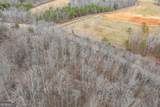 0 Cowart Mountain Tract 1 Road - Photo 11