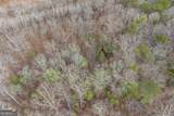 0 Cowart Mountain Tract 1 Road - Photo 13