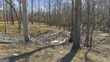 238 Cold Branch Road - Photo 97