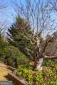 120 Overlook Drive - Photo 47