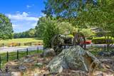 1660 Carlson Lane - Photo 85