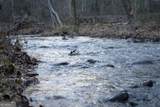 490 Red Wolf Run - Photo 13