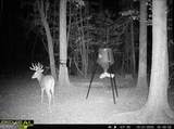 0 Jenkins Farm Road - Photo 26